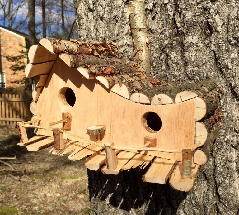 Dr. Dave's Birdhouses help raise money for VirginiaMaryland veterinary